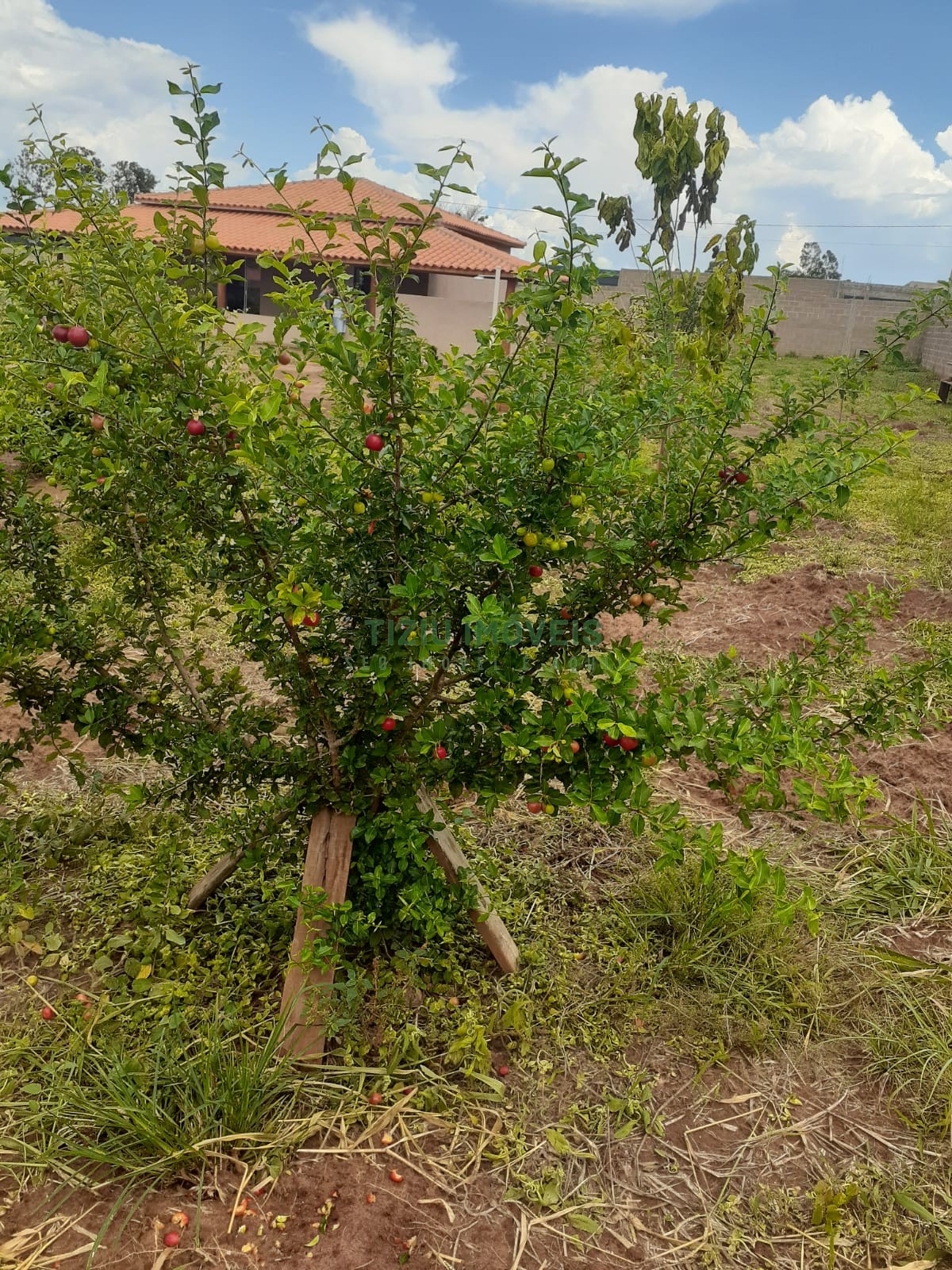 Chácara em condomínio fechado - Condomínio Pietro Patrocínio