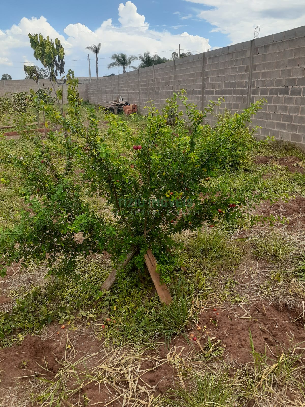 Chácara em condomínio fechado - Condomínio Pietro Patrocínio