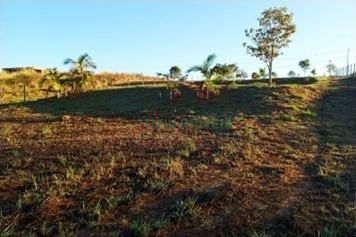 Lote para rancho em Delfinópolis - MG