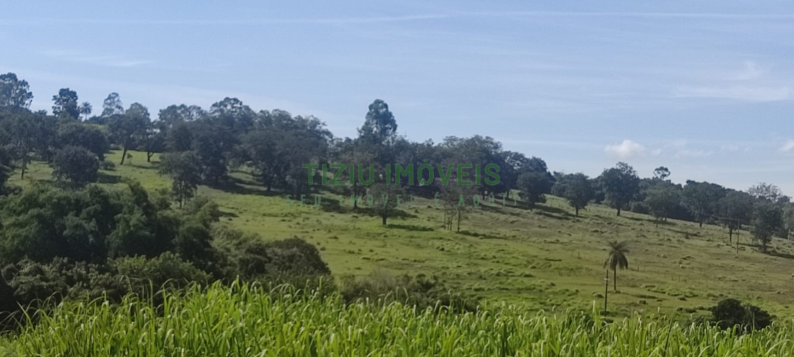Sítio com 5.5 hectares em Patrocínio Paulista