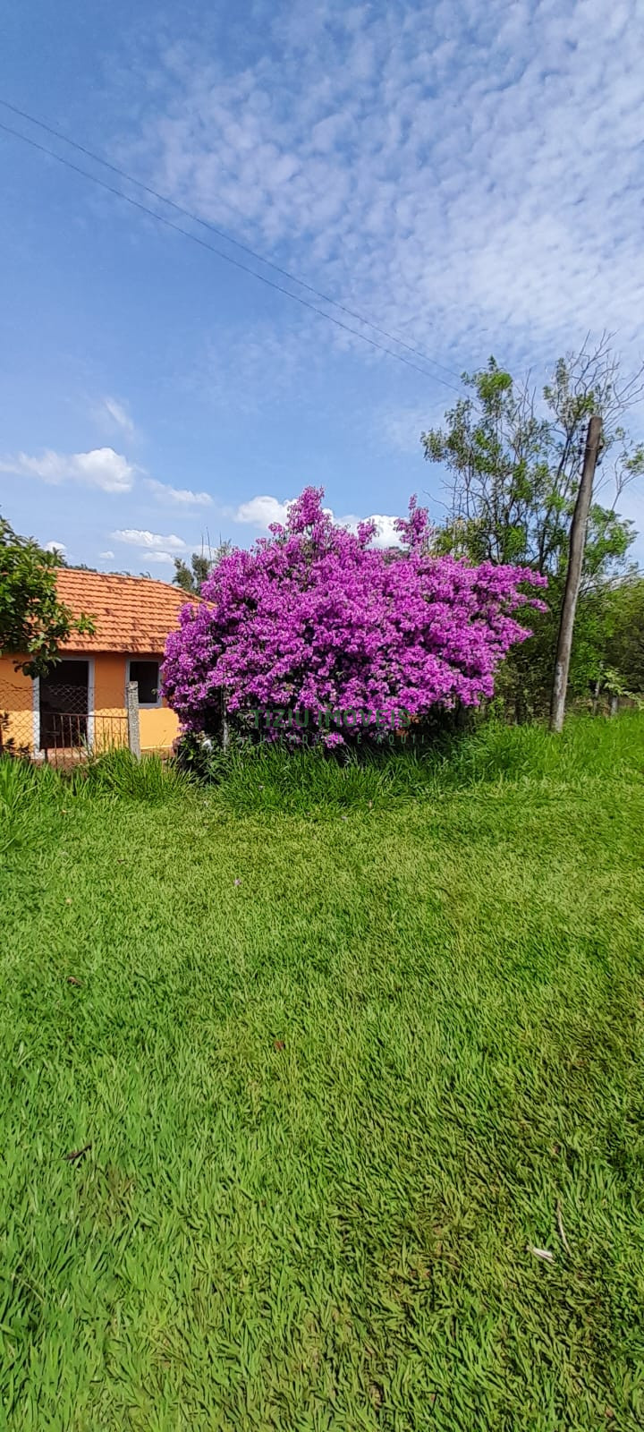 Sítio com 5.5 hectares em Patrocínio Paulista