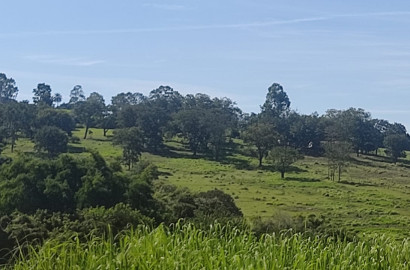 Sítio com 5.5 hectares em Patrocínio Paulista
