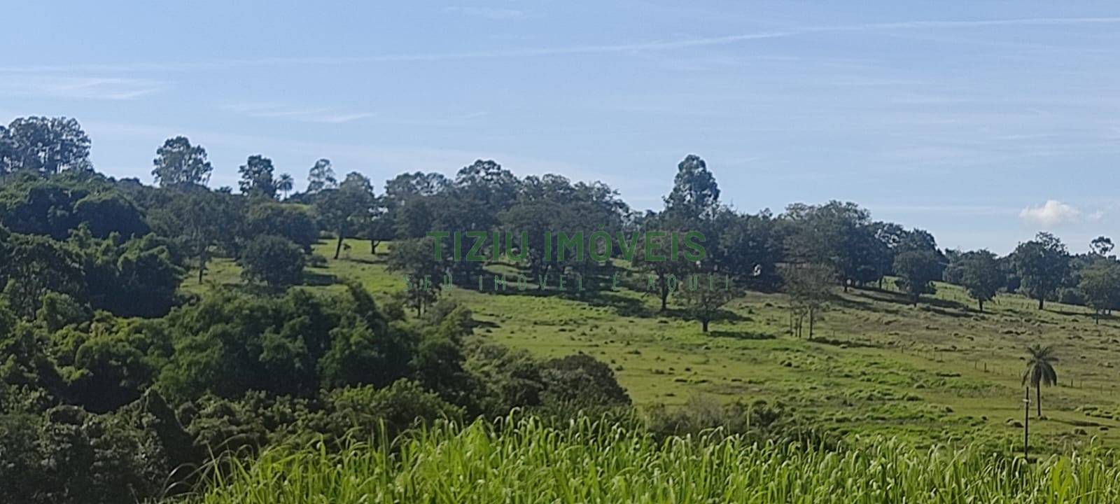 Sítio com 5.5 hectares em Patrocínio Paulista