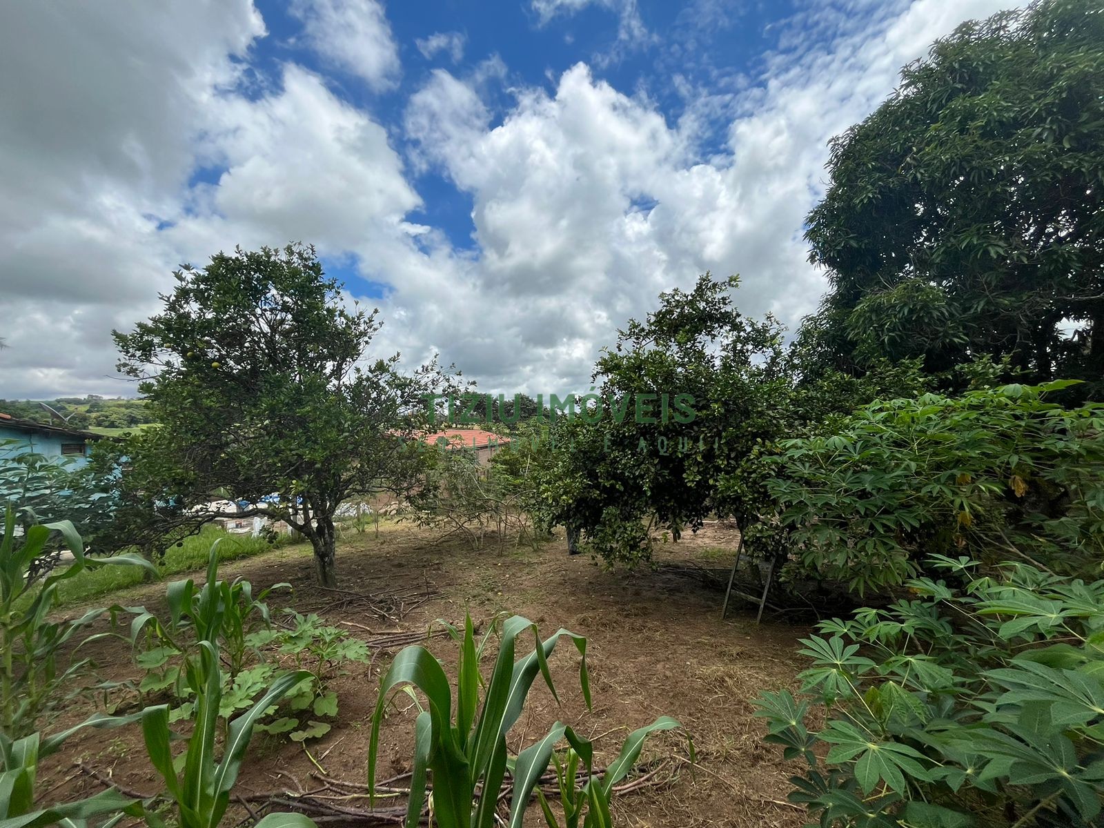 Sítio com 2 hectares em Patrocínio Paulista - SP