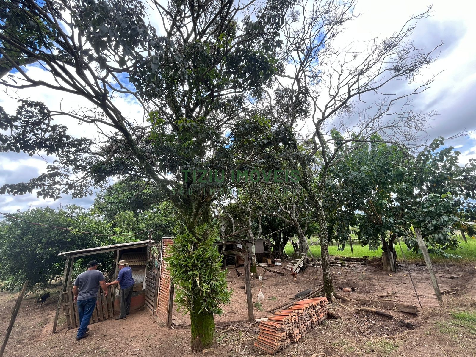 Sítio com 2 hectares em Patrocínio Paulista - SP
