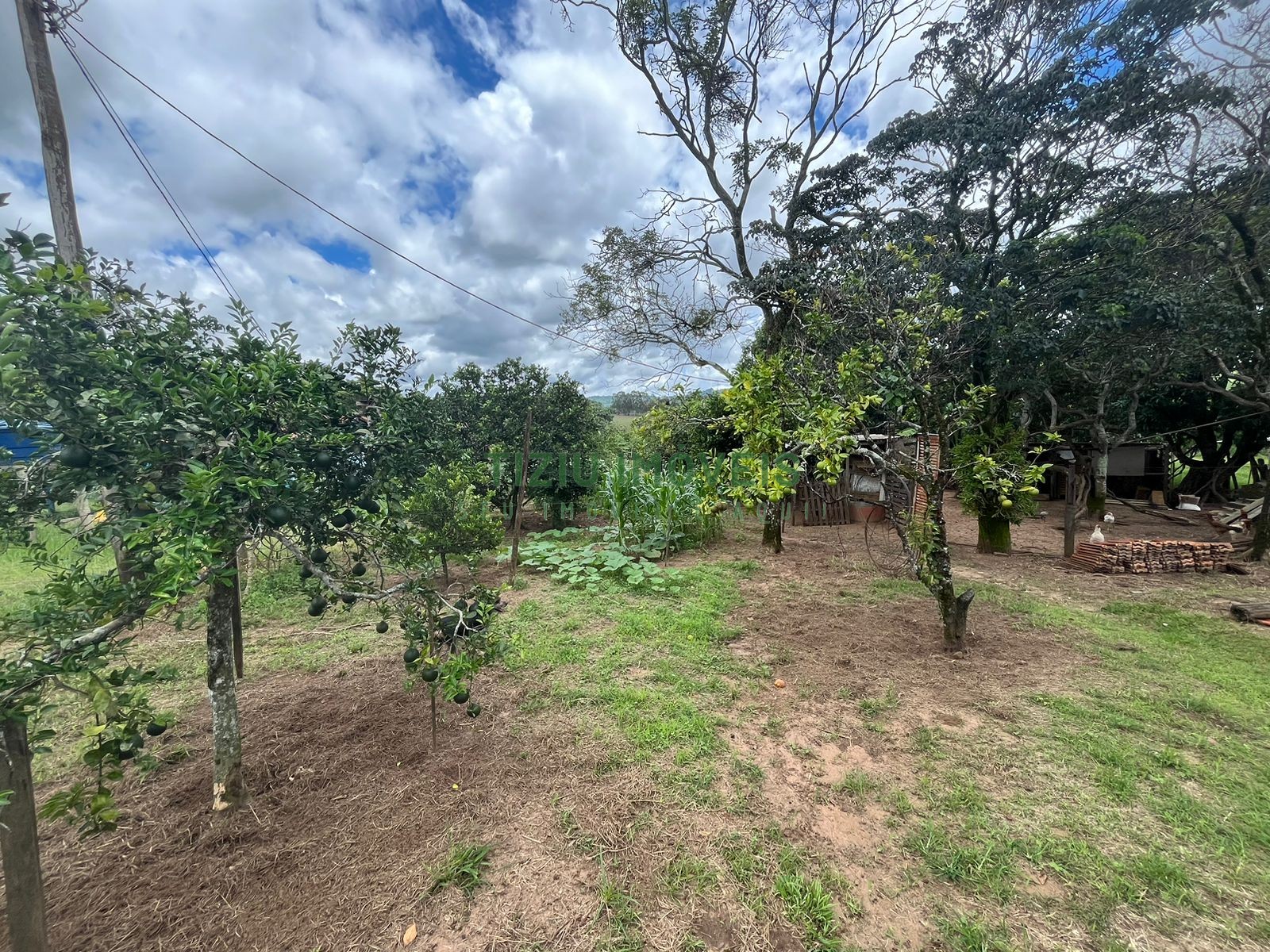 Sítio com 2 hectares em Patrocínio Paulista - SP