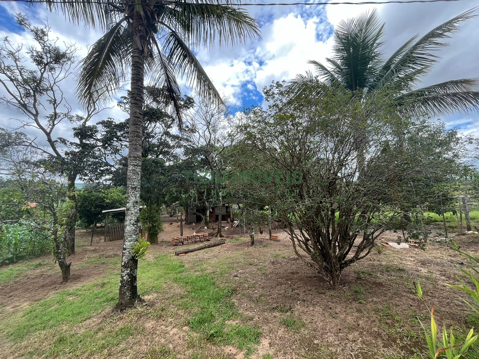 Sítio com 2 hectares em Patrocínio Paulista - SP
