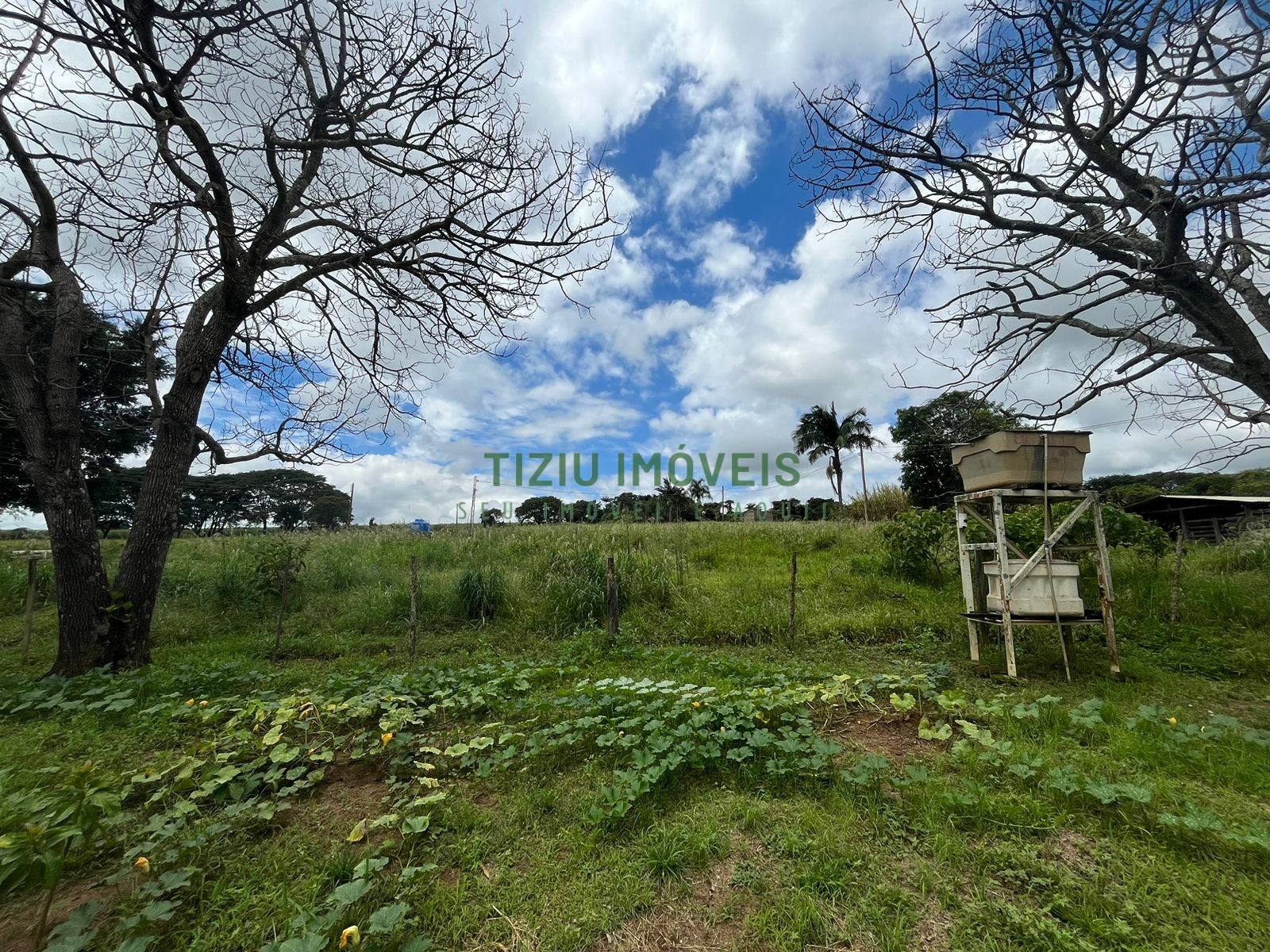 Sítio com 2 hectares em Patrocínio Paulista - SP
