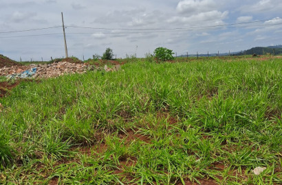 Terreno 200 m² - Bairro Cidade Nova